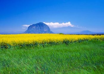 Berbakti Kepada Orang Tua (bag. 7), “Diangkatnya Kesulitan, Serta Kewajiban Memberi Nafkah Kepada Orang Tua”