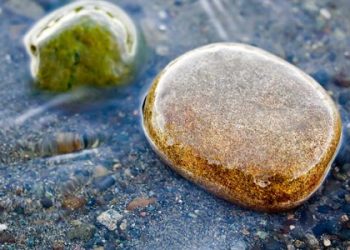 Apakah Anda Terjangkiti Penyakit Riyaa’? (Segera Deteksi Diri Anda  Sendiri!!!)