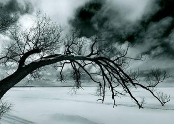 Tipu Muslihat Abu Salafy (bag 6), Aqidah Abu Salafy : Mu’aawiyah adalah Seorang Munafiq Kafir