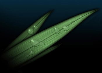 Mendulang Pelajaran Akhlak dari Syaikh Abdurrozzaq Al-Badr -hafizhahullah- (seri 2)