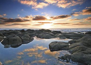 Mendulang Pelajaran Akhlak dari Syaikh Abdurrozzaq Al-Badr -hafizhahullah- (seri 8)