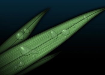 HARUSKAH MEMBENCI IBNU TAIMIYYAH?? (Padahal Ibnu Hajar Al-Asqolaani dan para ulama syafi’iyah terkmuka lainnya telah memuji Ibnu Taimiyyah dengan pujian setinggi langit)