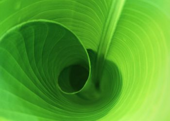 Kesabaran Pelaku Maksiat…!!!