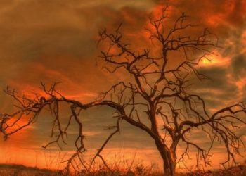 AJARAN-AJARAN MADZHAB SYAFI’I YANG DILANGGAR OLEH SEBAGIAN PENGIKUTNYA 10 – CELAAN TERHADAP SUFI EKSTRIM