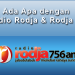 ADA APA DENGAN RADIO RODJA & RODJA TV?