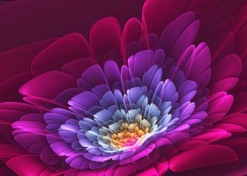 CINTAKU…MAAFKANLAH SUAMIMU INI..