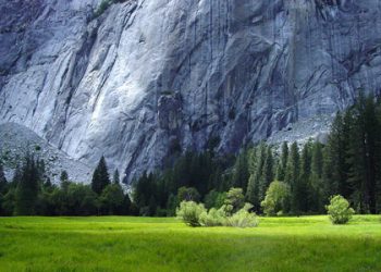 Syaikhul Islam Ibnu Taimiyyah ternyata Melarang Istighatsah Bag III