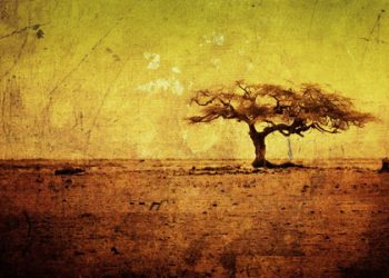 AJARAN-AJARAN MADZHAB SYAFI’I YANG DILANGGAR OLEH SEBAGIAN PENGIKUTNYA 7 – MENGINGKARI AQIDAH SYI’AH