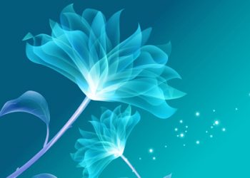 “Kisah Istri Sholehah…” (Berhak Untuk Dibaca…!!)