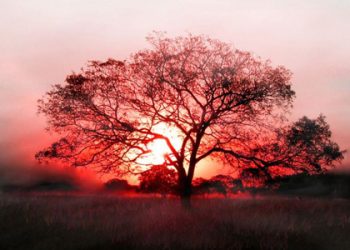 YESUS SEORANG TUHAN ?? (bag 3) – Pernyataan-Pernyataan Yesus Yang Menunjukkan Ia Adalah Manusia