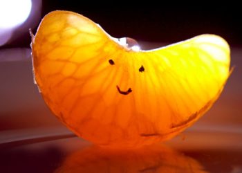 BANYOLAN KAUM SYI’AH (bag 2) – Periwayatan Keledai !!