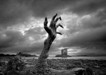 BANYOLAN KAUM SYI’AH (bag 9) –  Ternyata Jasad Abu Lu’luah Al-Majusi (Pembunuh Umar binAl-Khottoob) di Paket ke Iran dengan Syi’ah Cargo !!