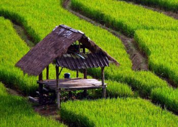 Si Miskin Yang Mulia…Carilah & Bantulah Dia…