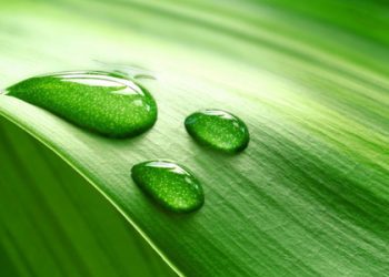 Penggugur-Penggugur Dosa