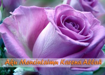 Tetap Setia Walau Istri Telah Tiada…