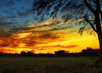 Jangan Durhaka Kepada Orang Tua