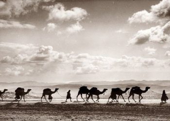 Haji Reguler Lebih Afdhol Daripada Haji Plus ?