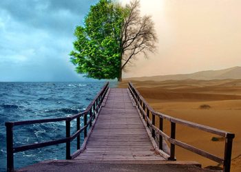 Tolonglah Saudaramu, Jangan biarkan Ia Terzolimi !