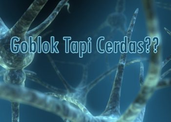 Goblok Tapi Cerdas??