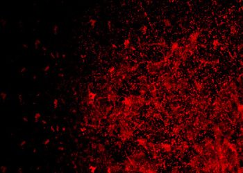 Mewaspadai Perilaku-Perilaku Jahiliyah