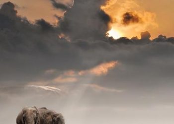 Sirah Nabi 9 – Kisah Tentara Bergajah