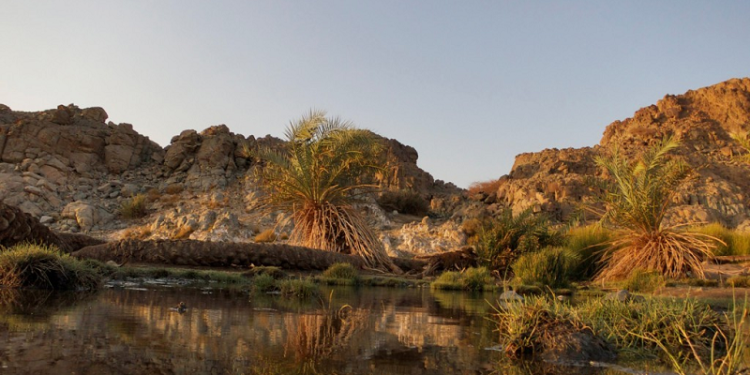 Sirah Nabi 15 - Wafatnya Ibunda Nabi Muhammad dan Diasuhnya Beliau Oleh Kakek dan Pamannya