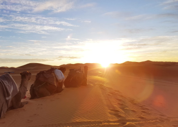 Sirah Nabi 27 – Ghazwah Mu’tah (Bagian 1)