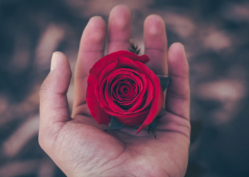 keajaiban lentik mata wanita