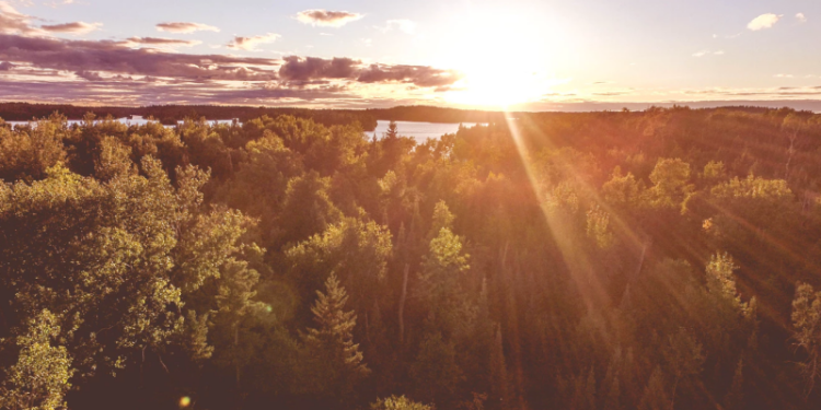 Khutbah Jumat – Allah Al-Halim (Materi Khutbah Ustadz DR. Firanda Andirja, MA)