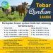 Tebar Qurban di Pesisir Pantai Selatan Jawa Bersama Tim Halo Ustadz