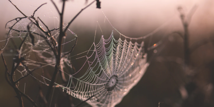 Sepuluh Sebab Penggugur Dosa