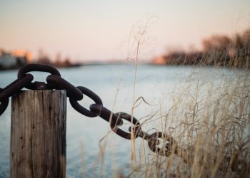 Kitabul Jami’ Bab 2 – Muqadimah Berbakti dan Menyambung Silaturahmi (البِرُّ وَالصِّلَةُ)