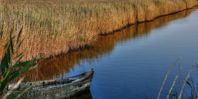 Nasihat Untuk Kaum Lelaki yang Sedang Mencari Istri