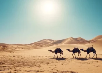 Inilah Jalannya Rasulullah Dan Para Sahabat